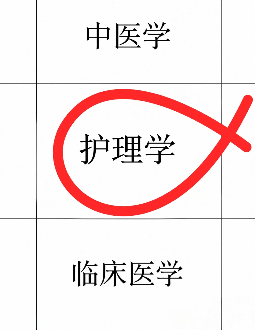 今日护理编制岗位更新！大专起报！ 护理人们！