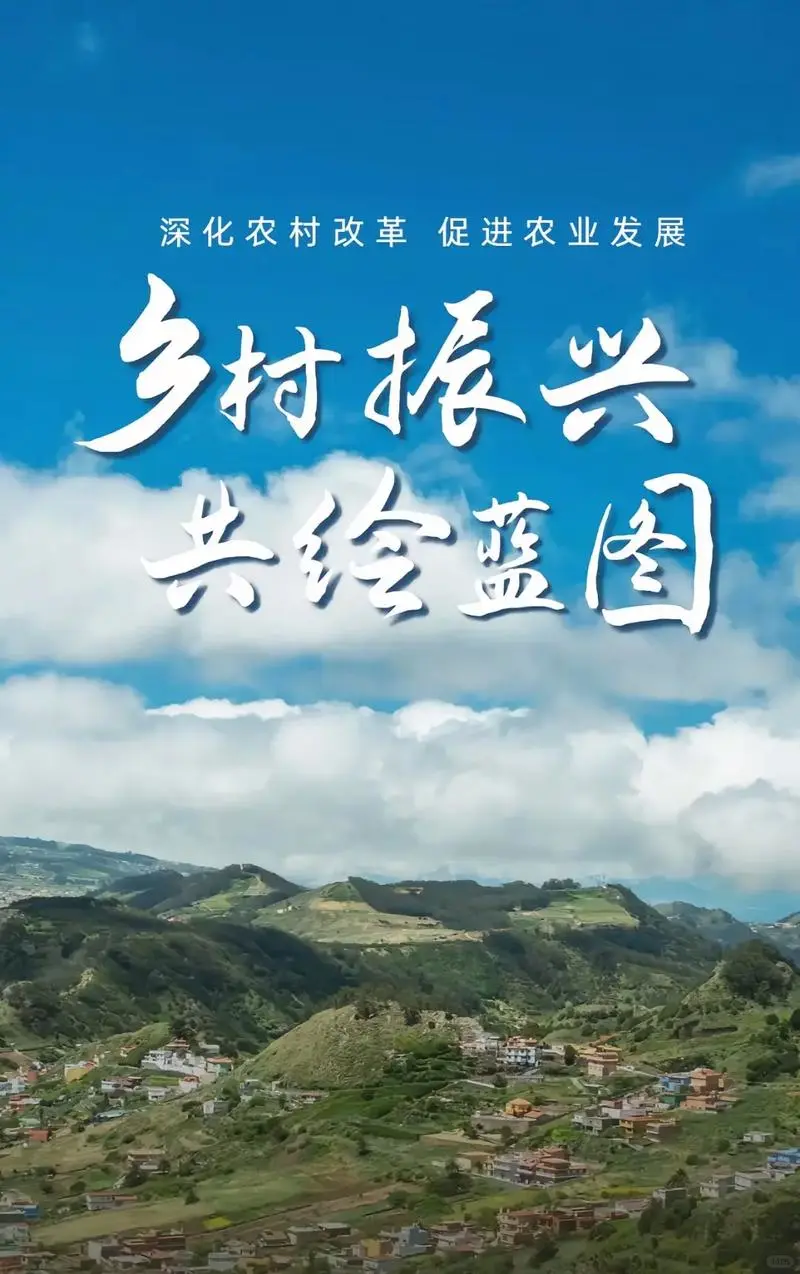 乡村振兴︳国企直签