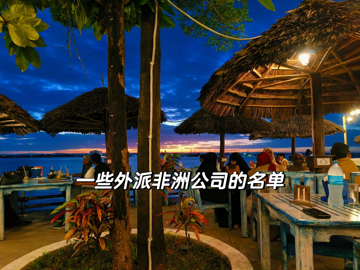 收集了一些外派非洲公司的名单