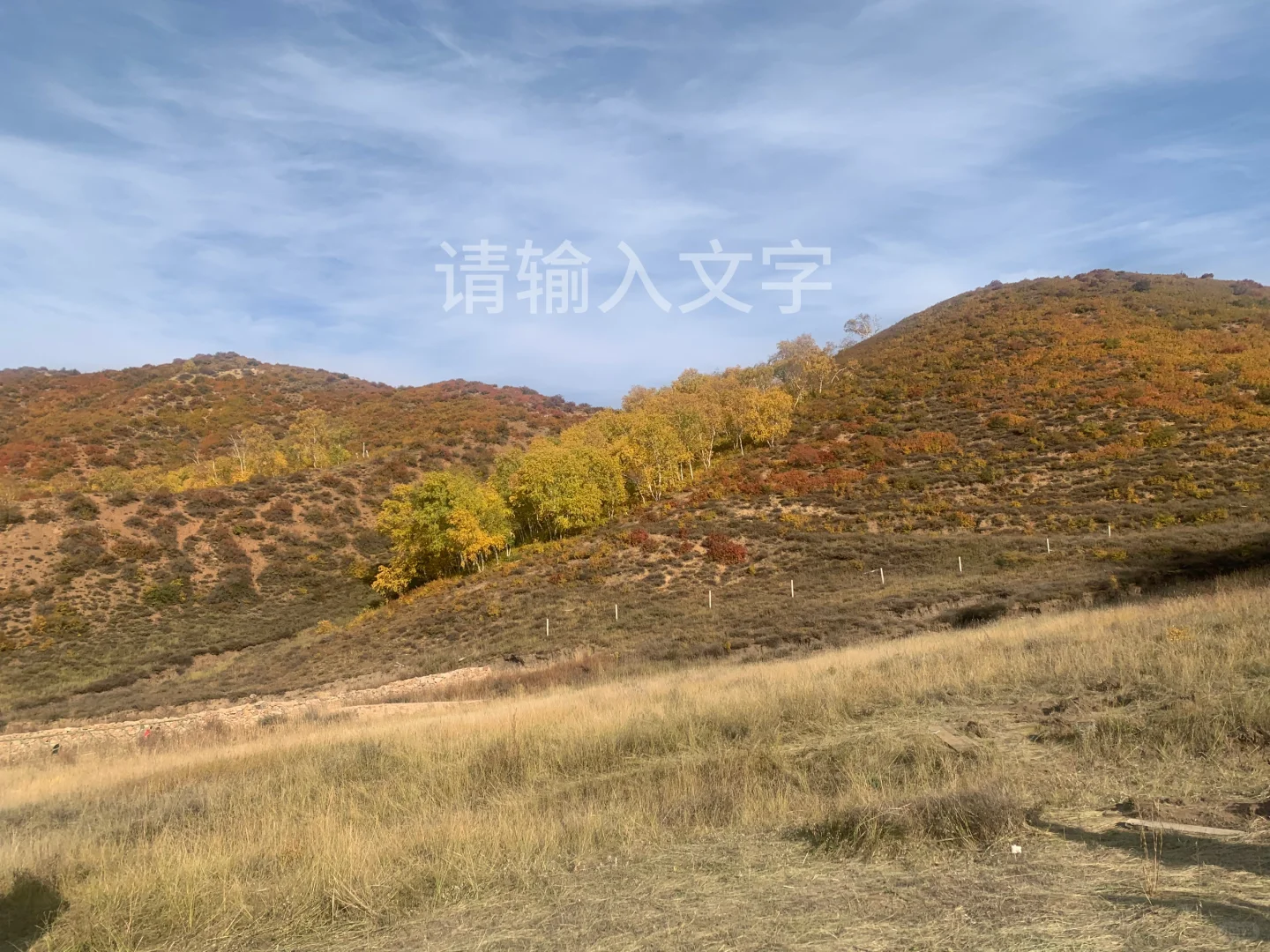 2017区招合同制的悲催