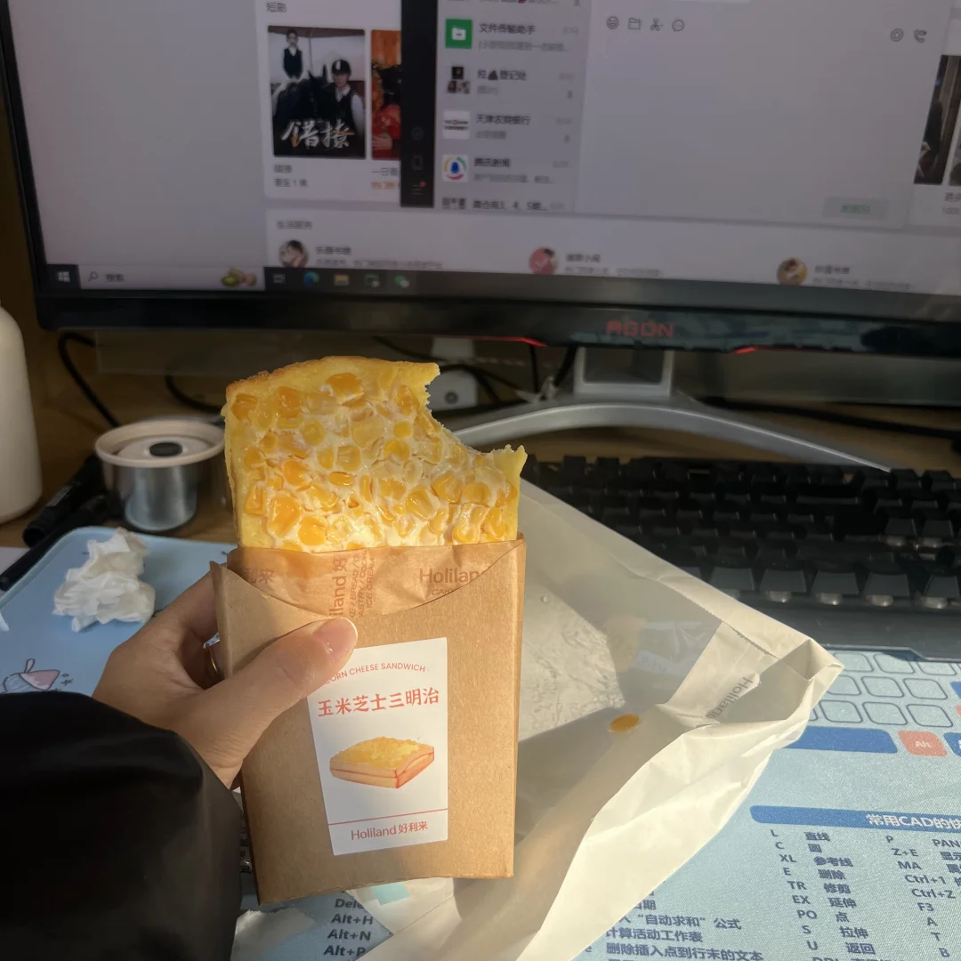 公司只有我一个文员