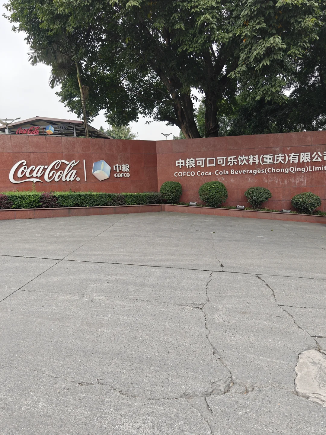 中粮可口可乐销售业务员怎么样?