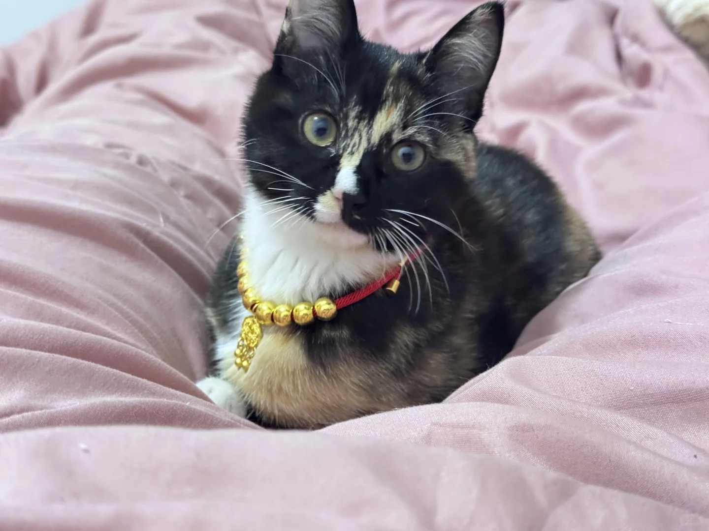 kw区聘调工资吗？