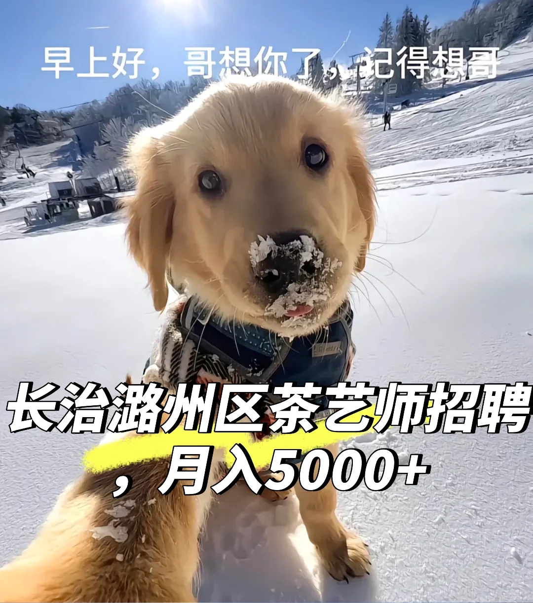 长治潞州区招聘