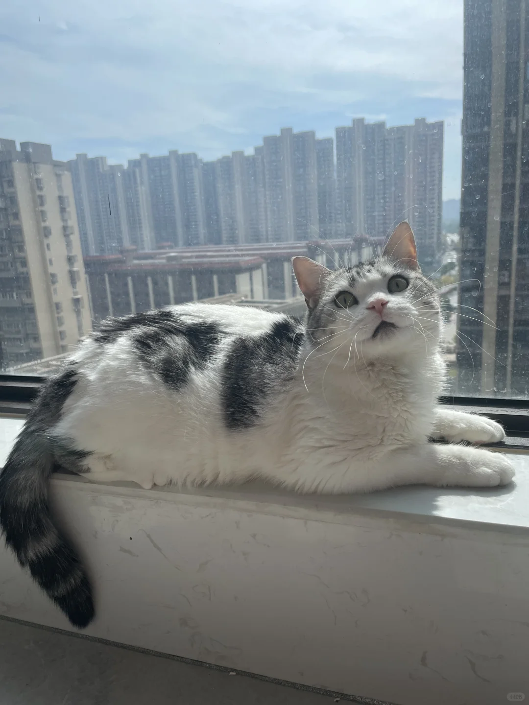 招个服务员有人来吗