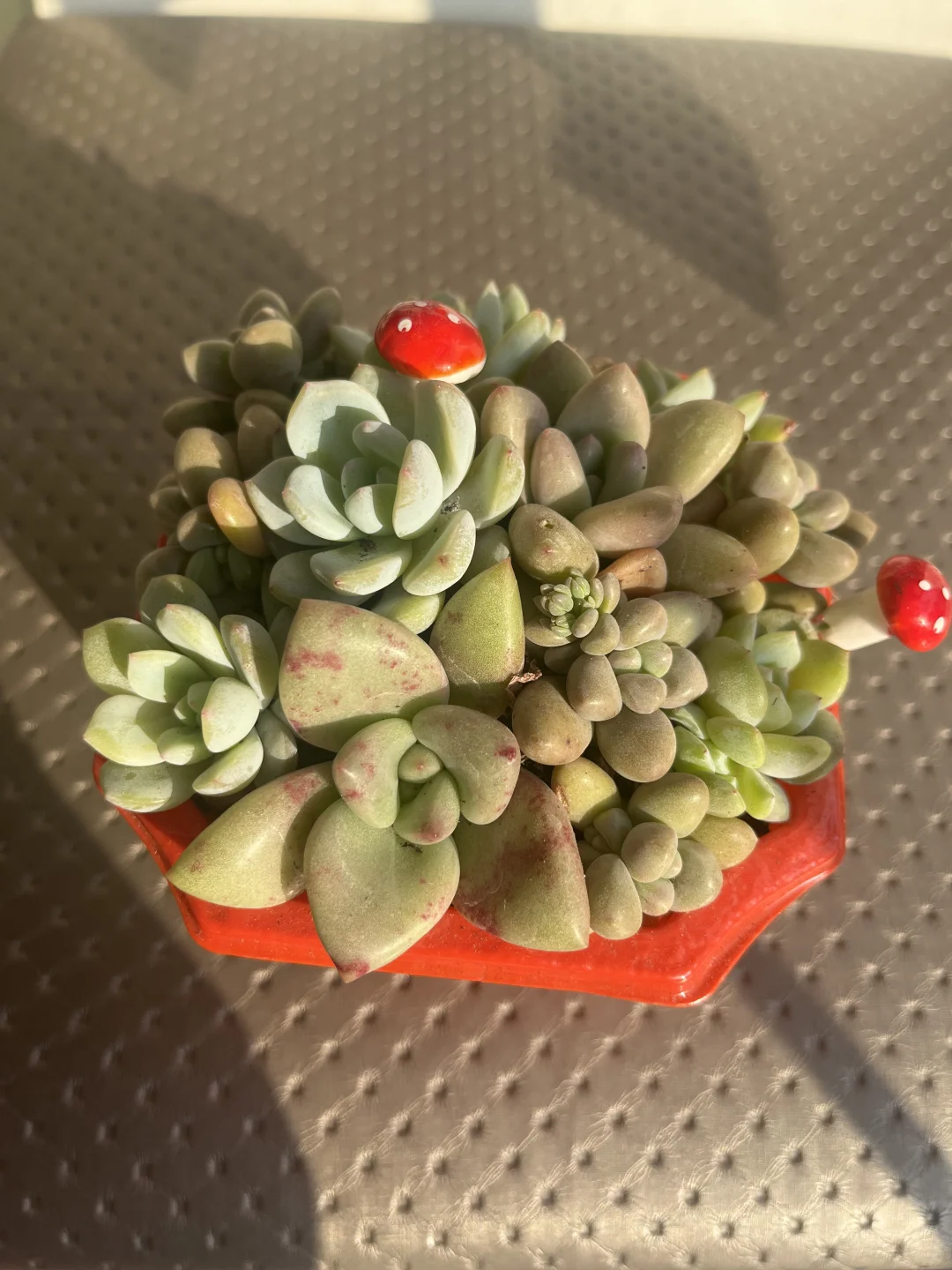 找工作的一天!秒聘上秒结束!