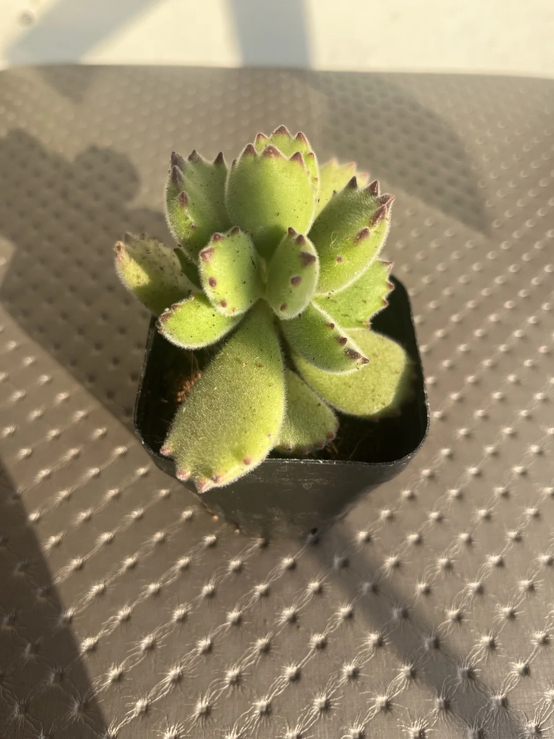 找工作的一天!秒聘上秒结束!