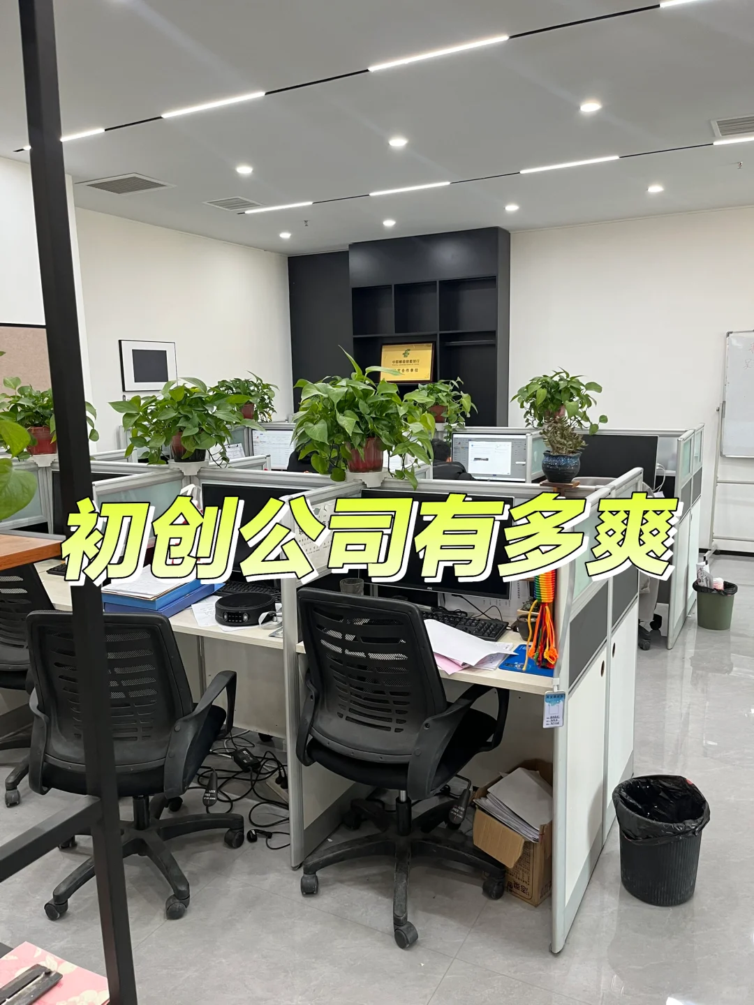 在初创公司上班到底有多爽快？！！！