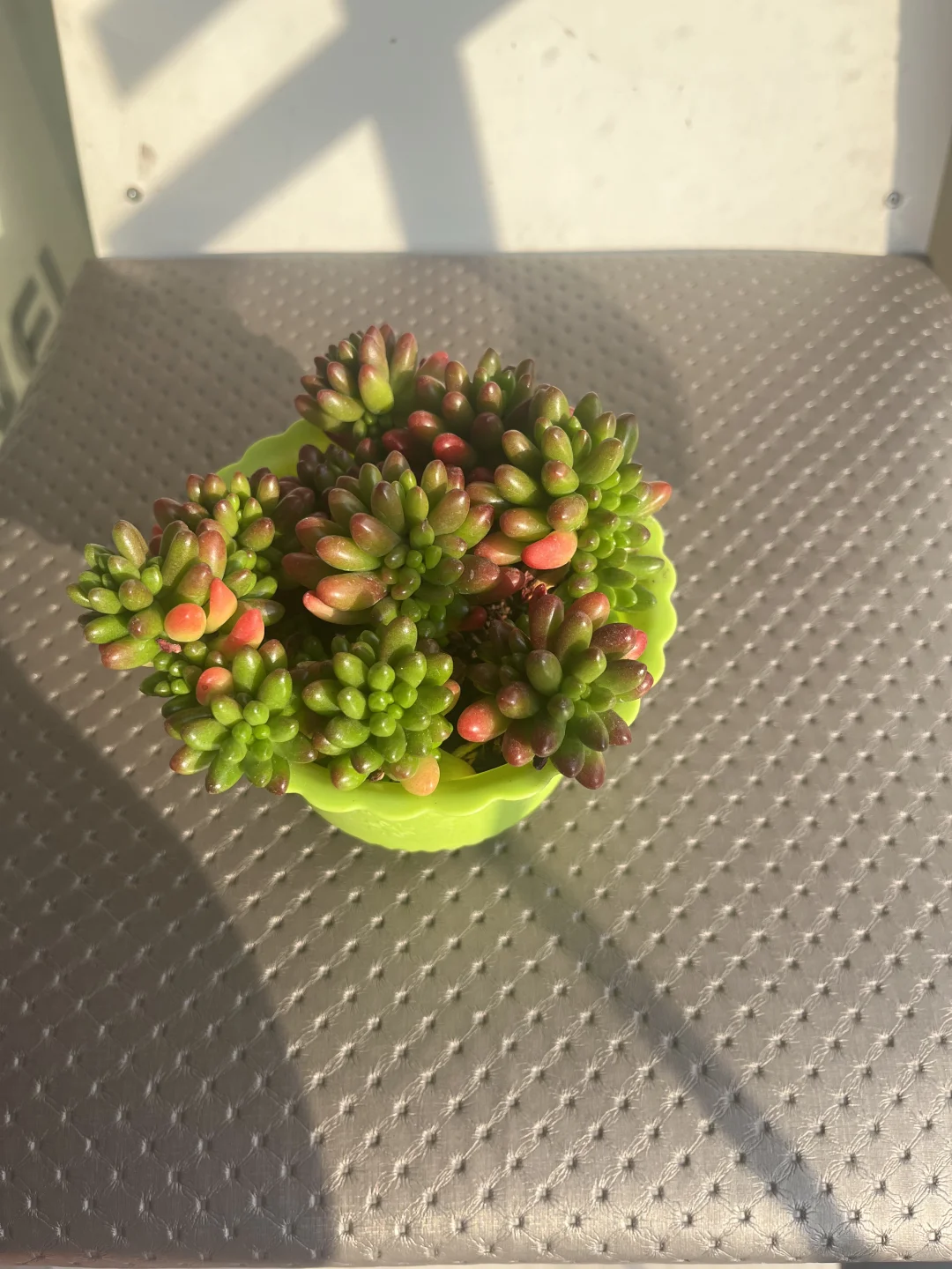 找工作的一天!秒聘上秒结束!