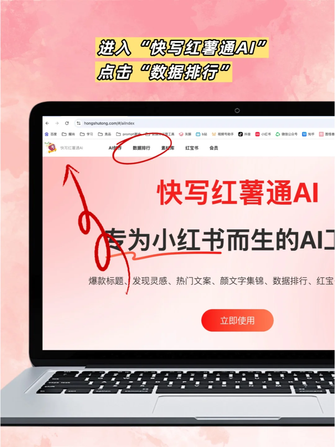 小红书对标账号网页版查询入口👉