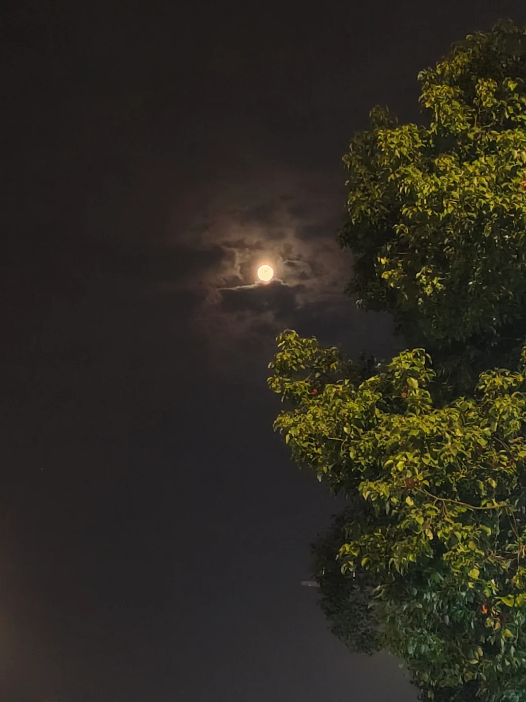 县管校聘，以后不干教师干什么呢？