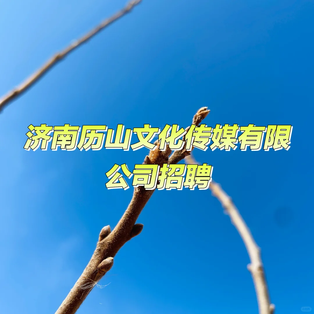 济南历山文化传媒有限公司