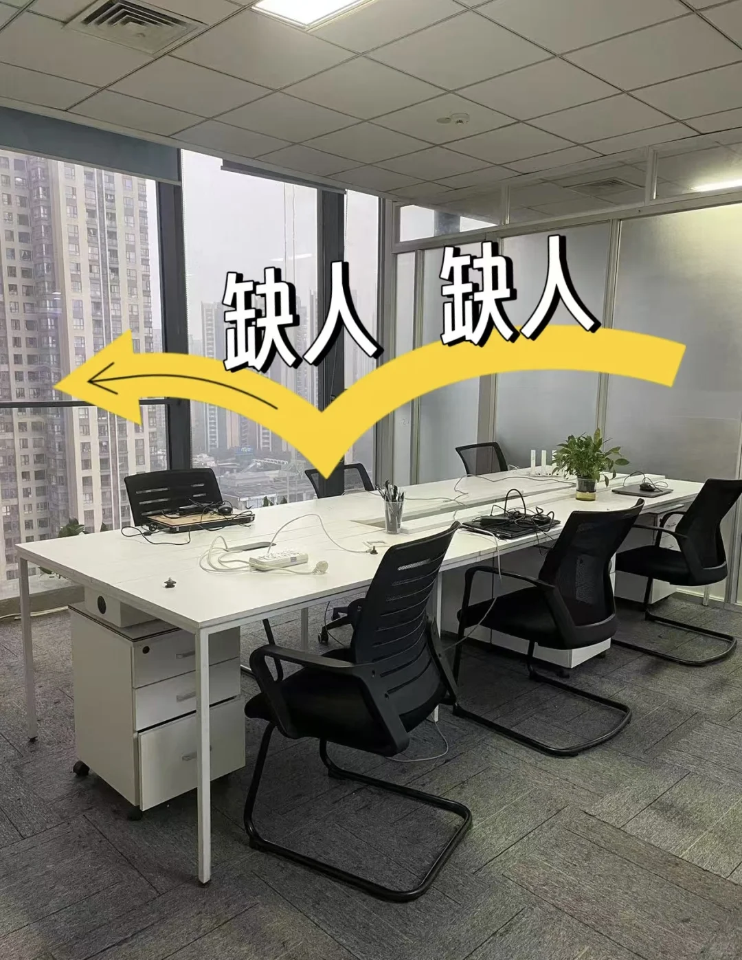 成都找工作的在哪儿！