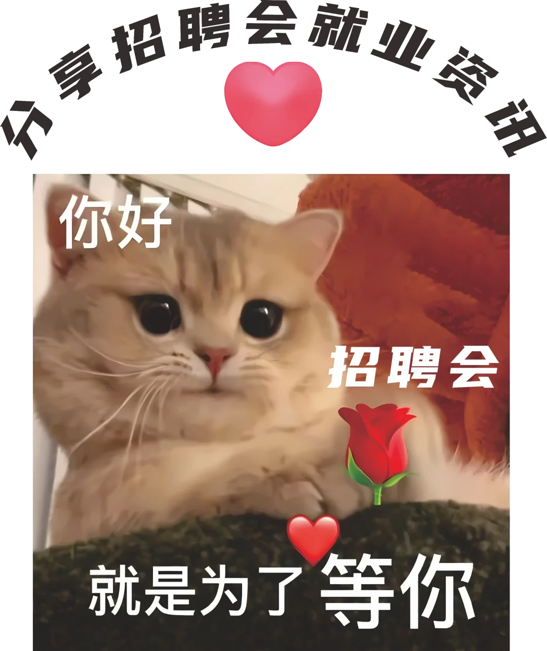 3.16广州招聘会，1000+家单位，可查看详情