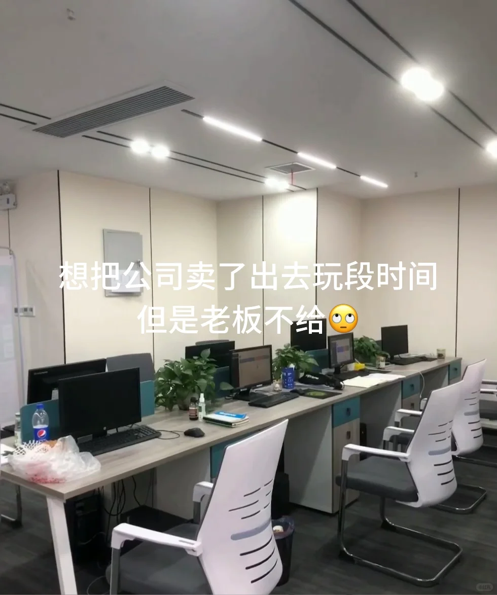 初创公司急需人才