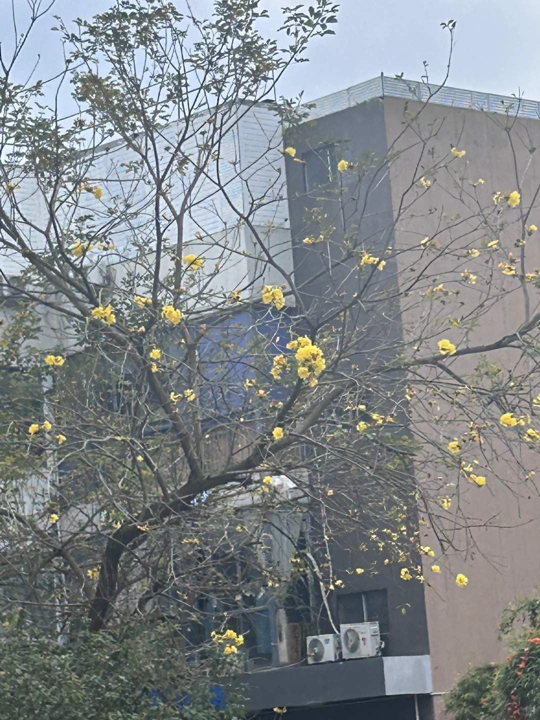 招人，认真看需求！！！