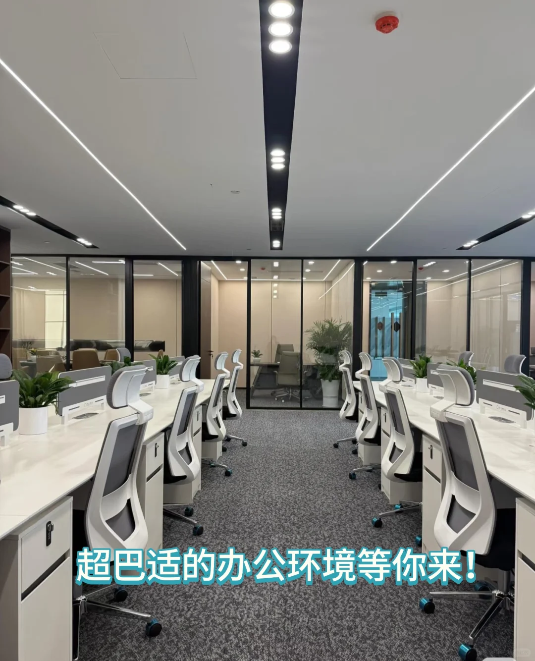 分公司已完成✅双休的来🤩