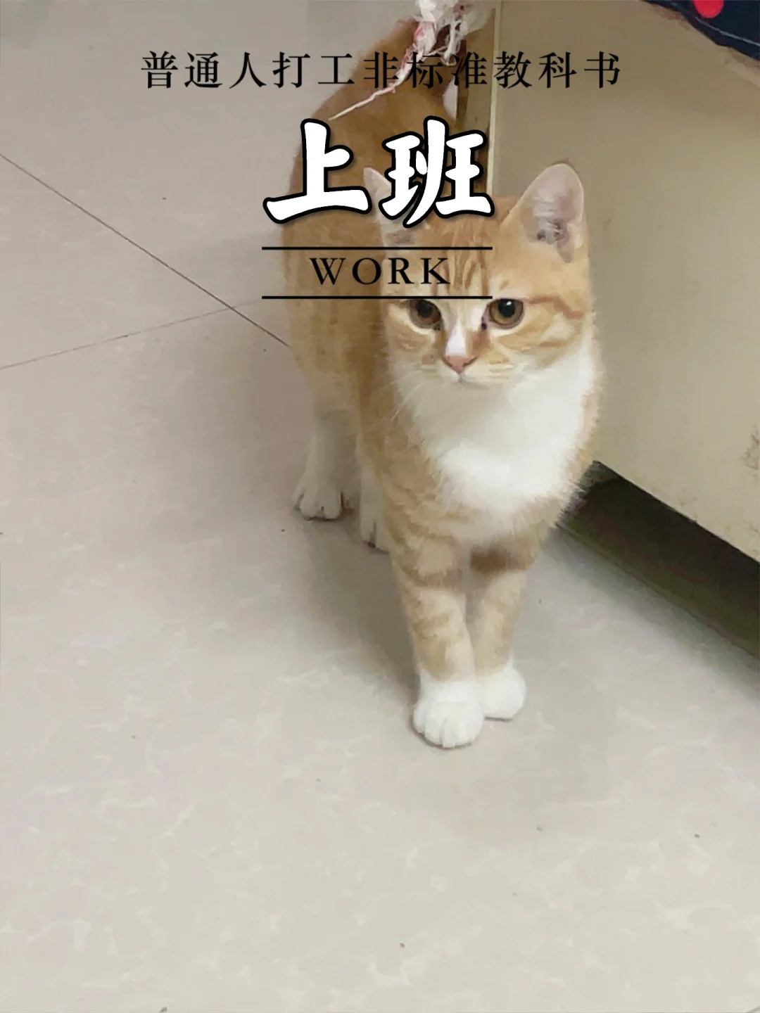 求助一下，家人们有懂的吗？