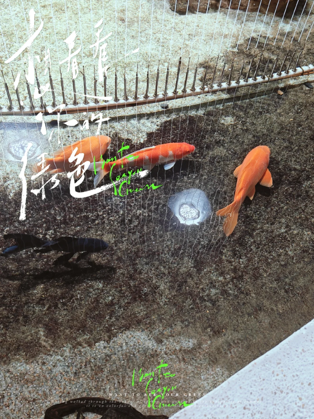 南京新传媒公司招聘啦