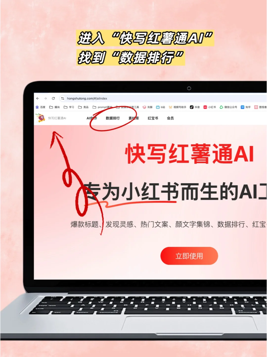 小红书网页版数据排行入口➡️