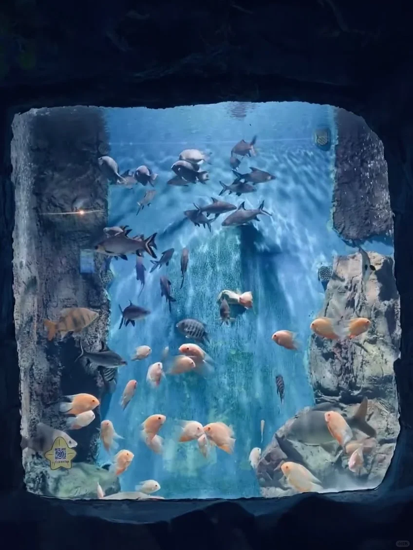 背景一般去试试这些音乐外企