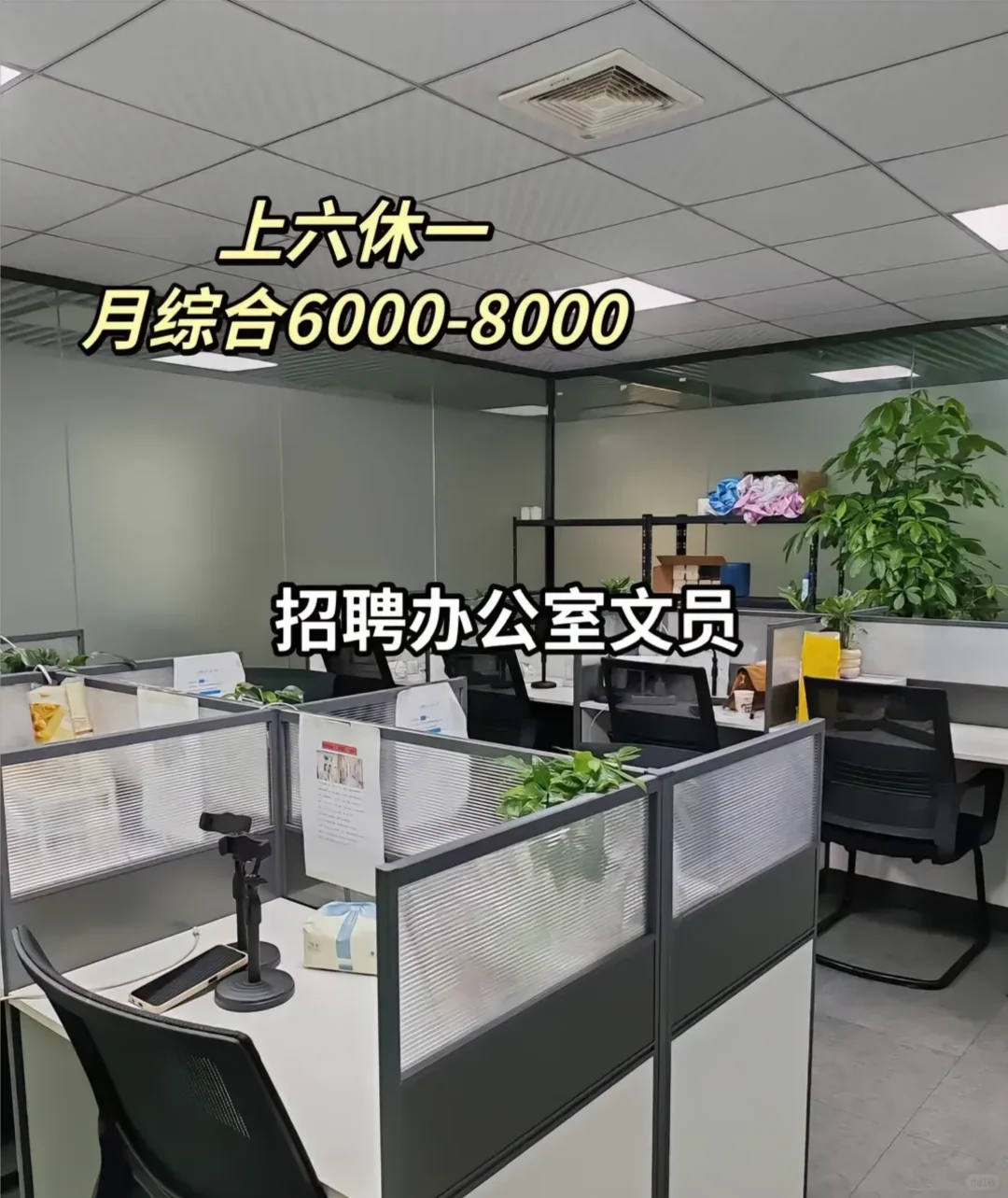 文员招聘（鸽子🕊️勿扰）