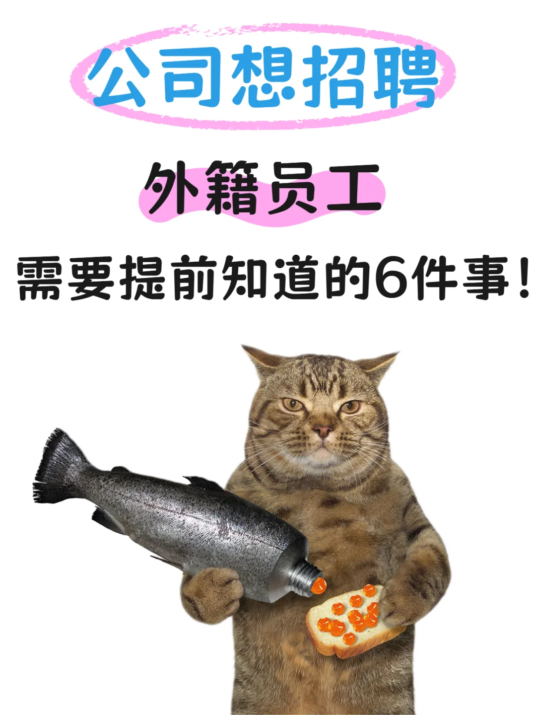 公司想招聘外籍员工需要提前知道的6件事