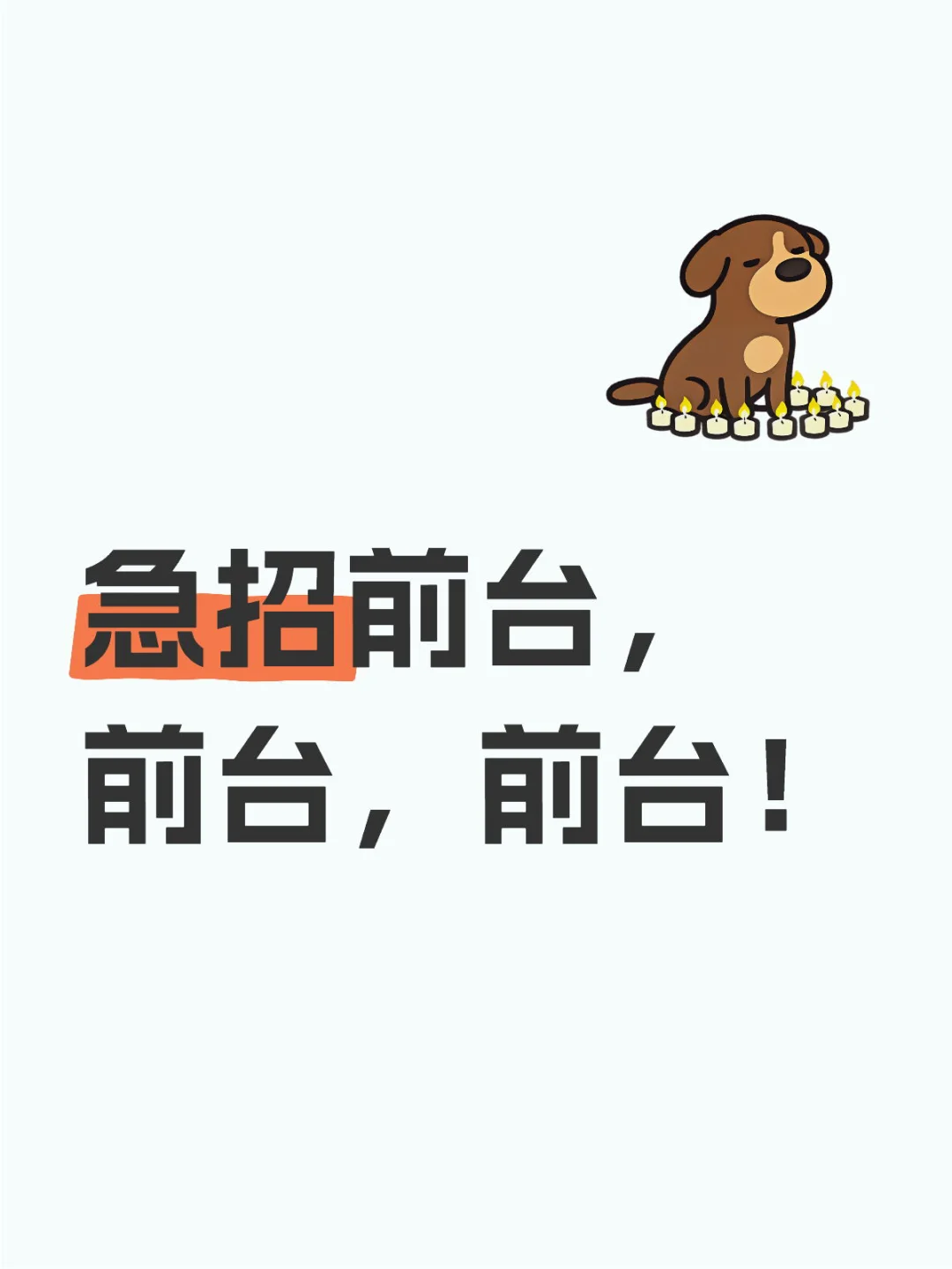 急招前台，前台，行政前台！东三环