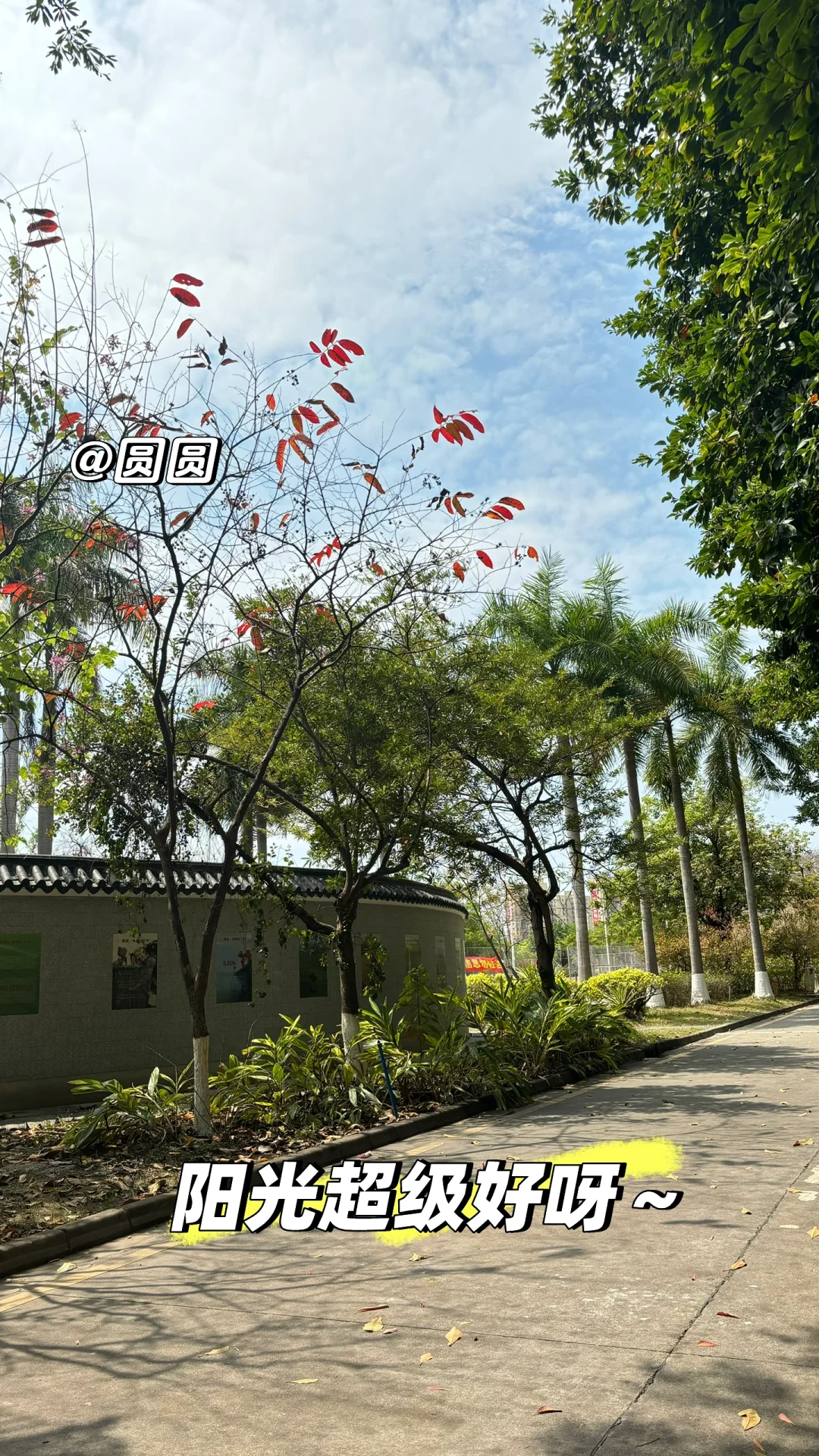 😽水利学院全方面校园介绍🙌开学快人一步！