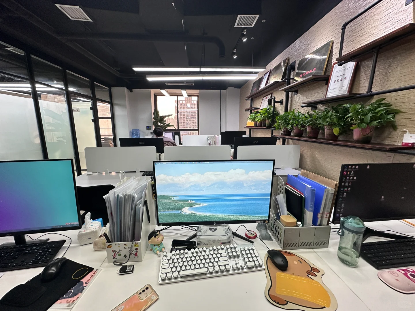 西安招聘 早九晚六 双休 上社保