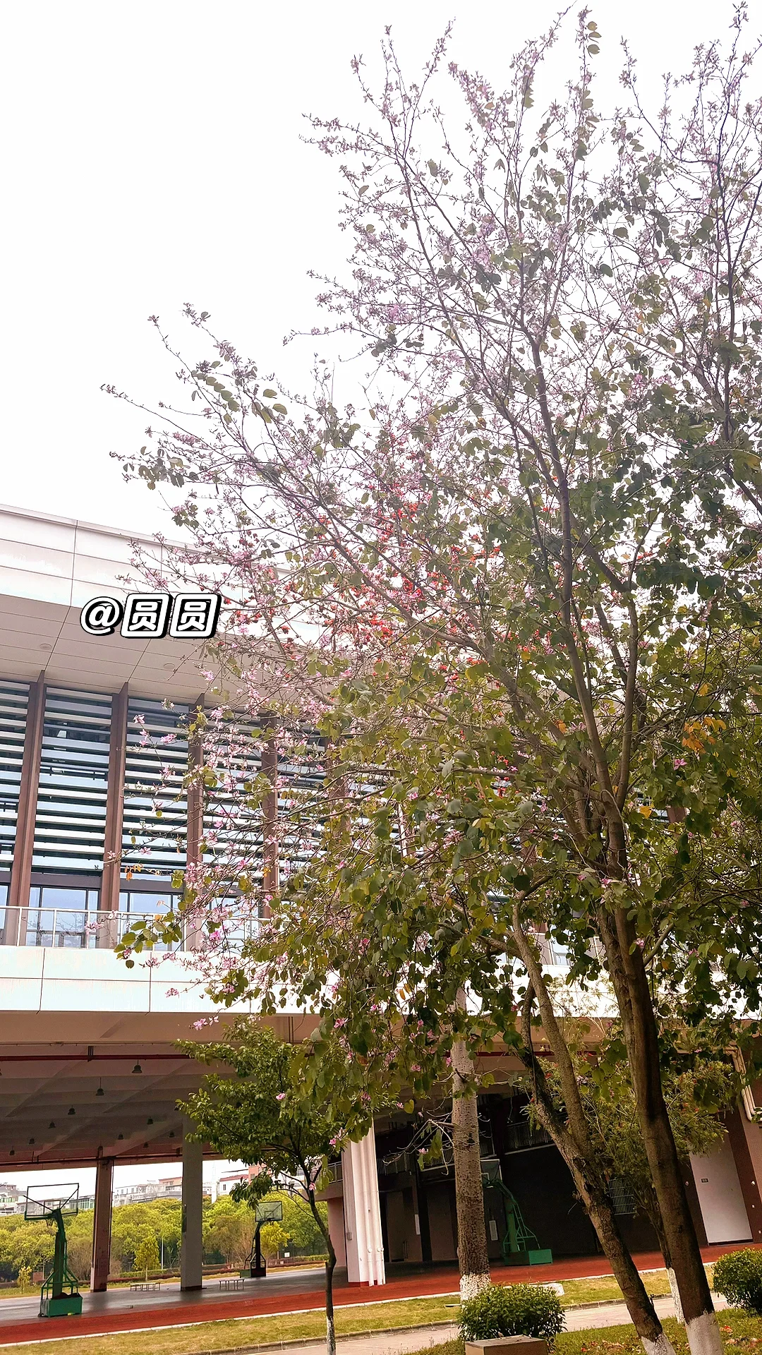 😽水利学院全方面校园介绍🙌开学快人一步！