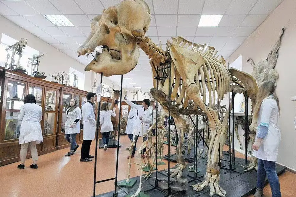 💥家里有孩子考不上大学，别逼孩子扫狗窝