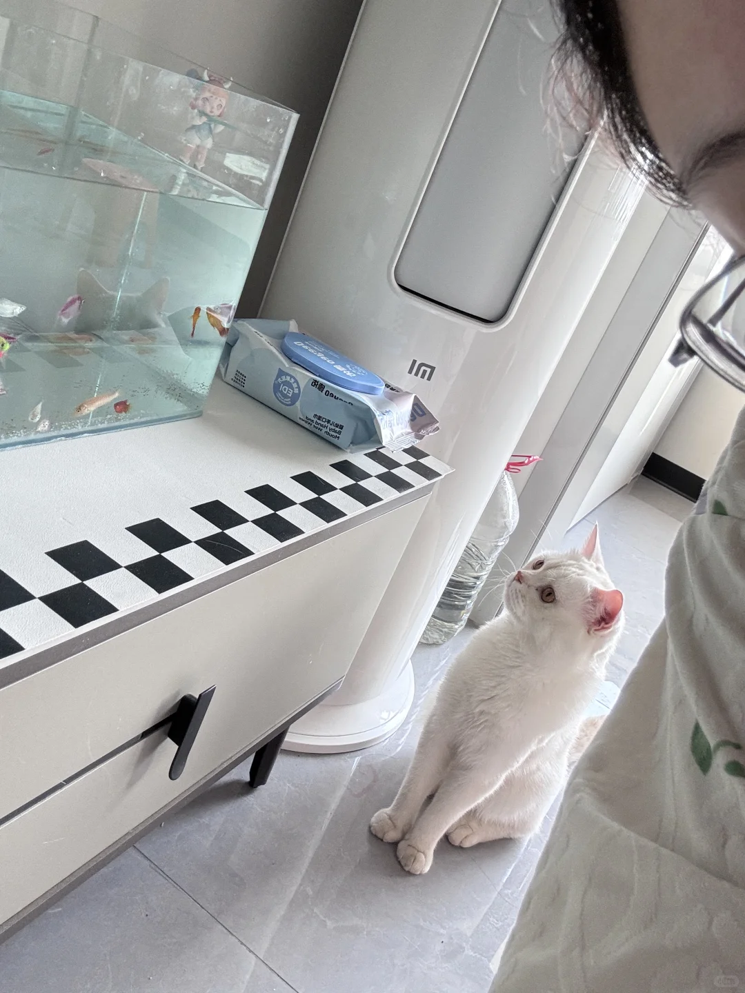 又稳定又开心的工作，谁不想要！