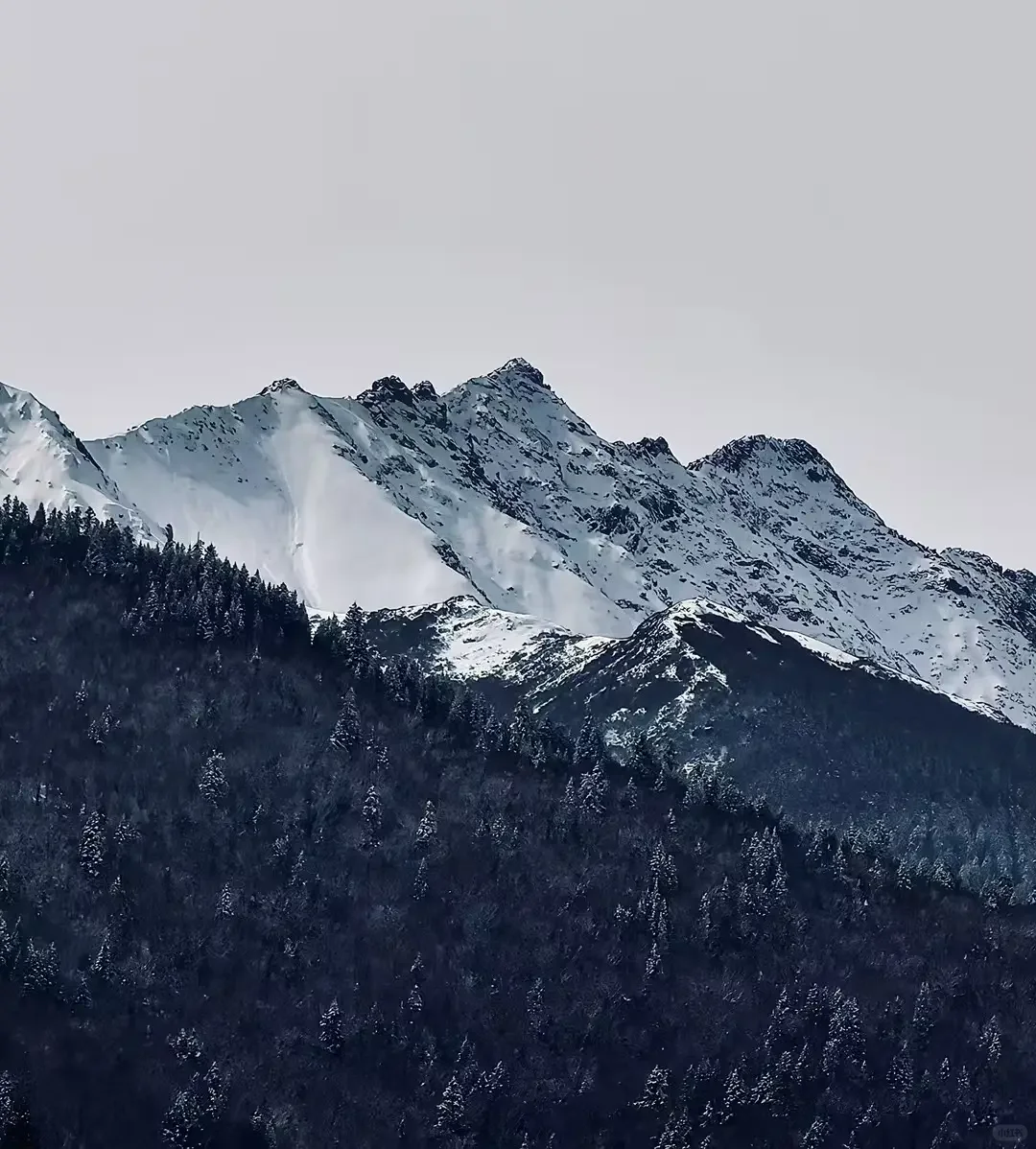 意外好进的乌鲁木齐外企