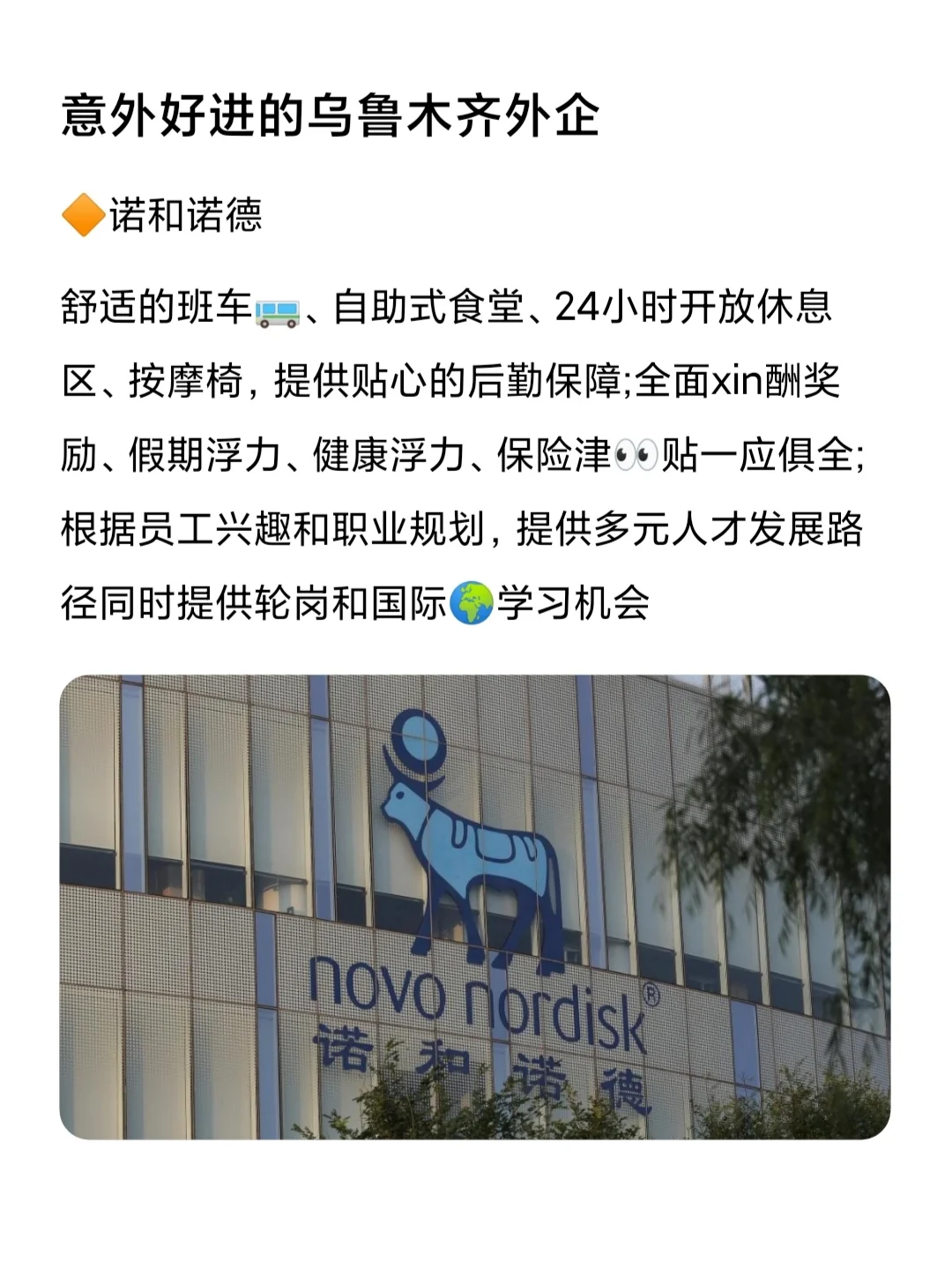 意外好进的乌鲁木齐外企