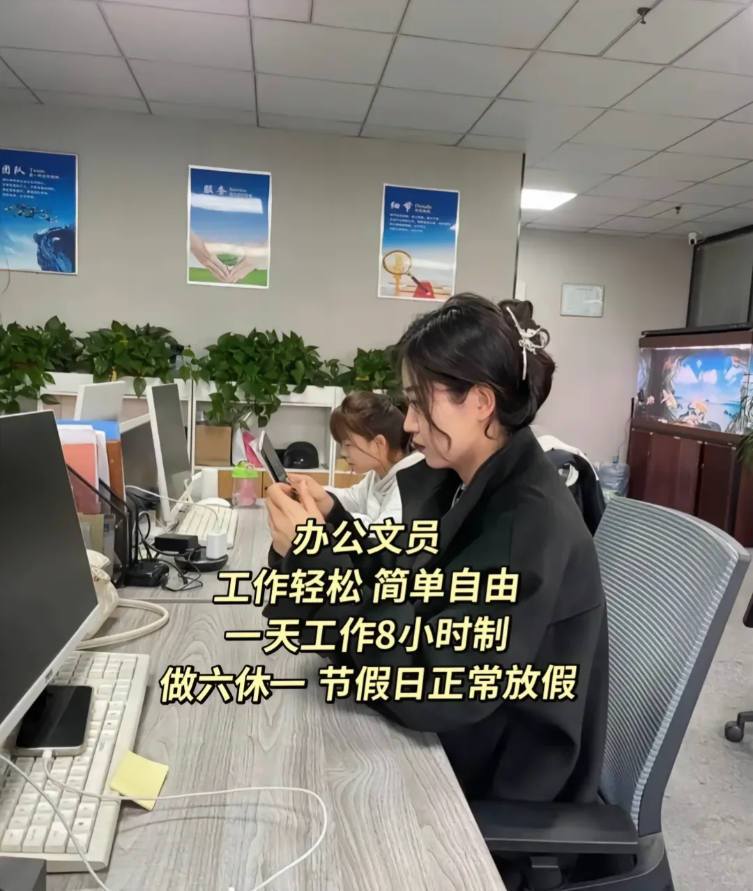 文员招聘（鸽子🕊️勿扰）