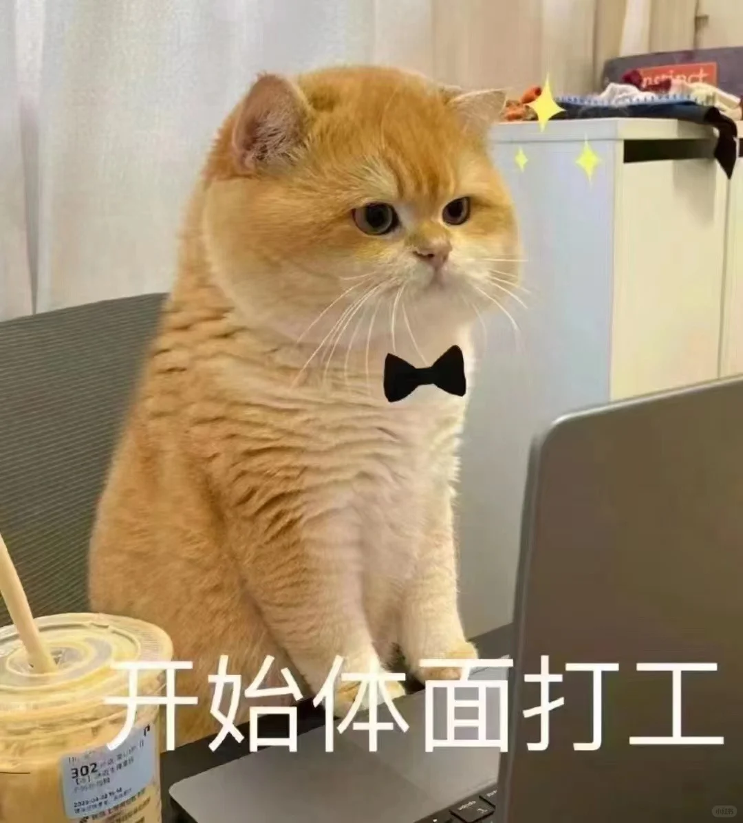 五险一金双休人事岗位招聘