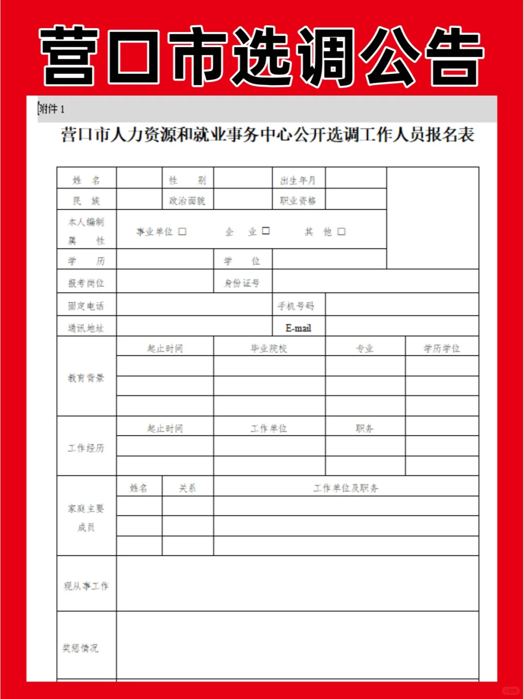 营口市选调公告