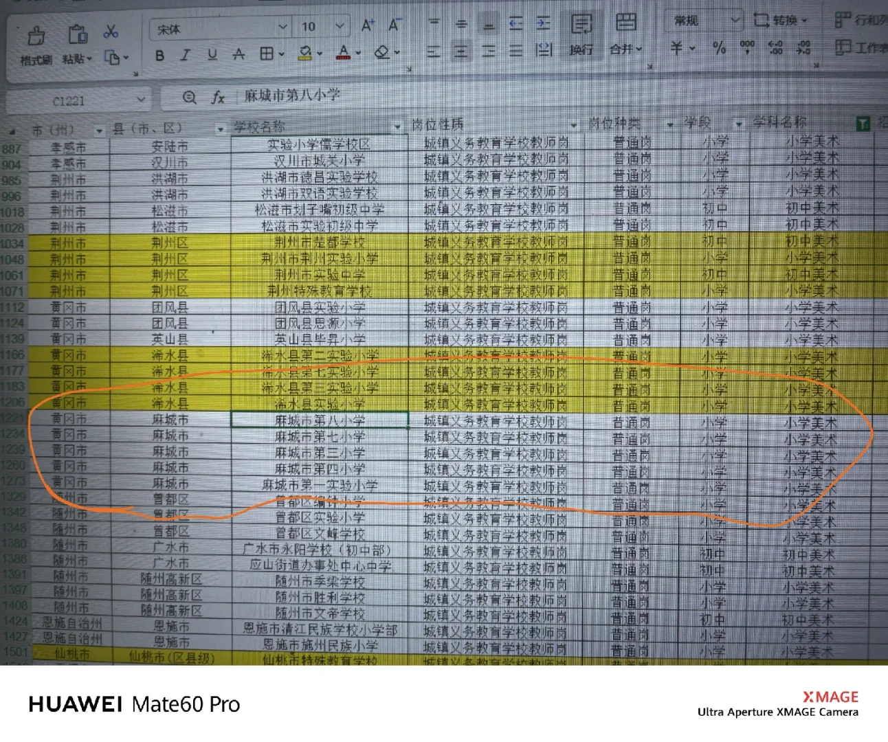 麻城市和荆州区美术教师招聘