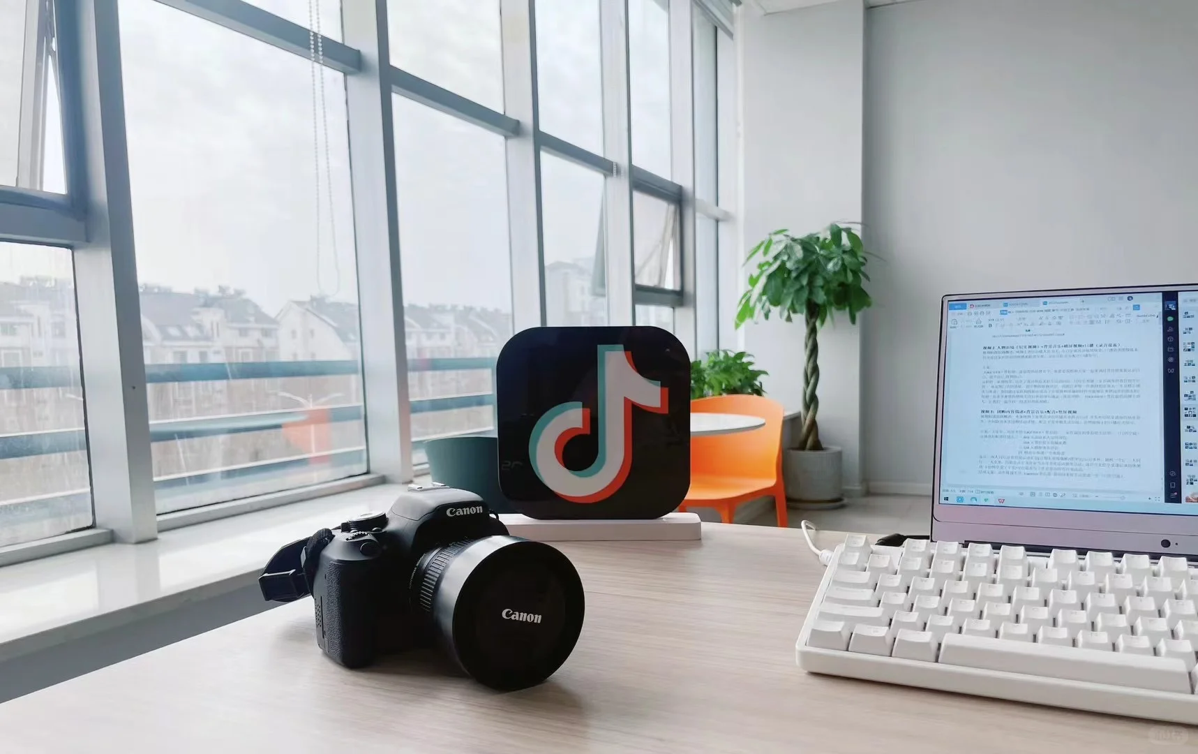 #招聘 东营西城 工作轻松，老板事少