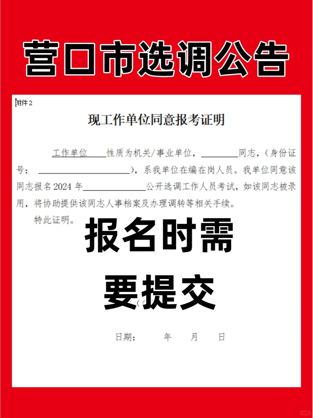 营口市选调公告