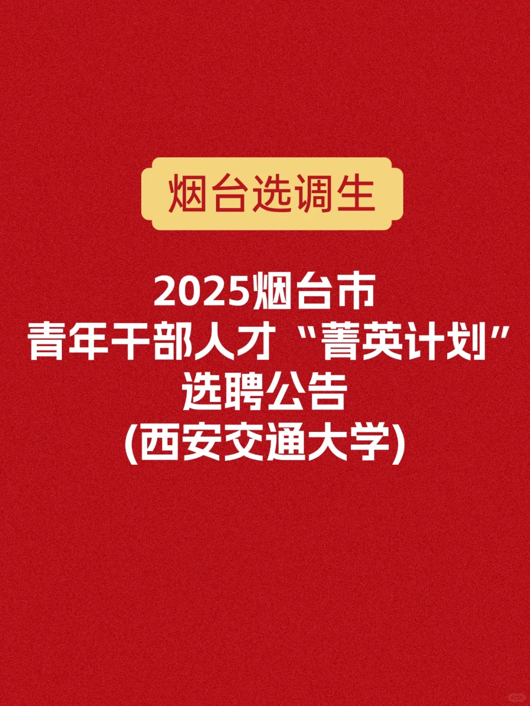 2025烟台市“菁英计划”选聘——西安交通大学