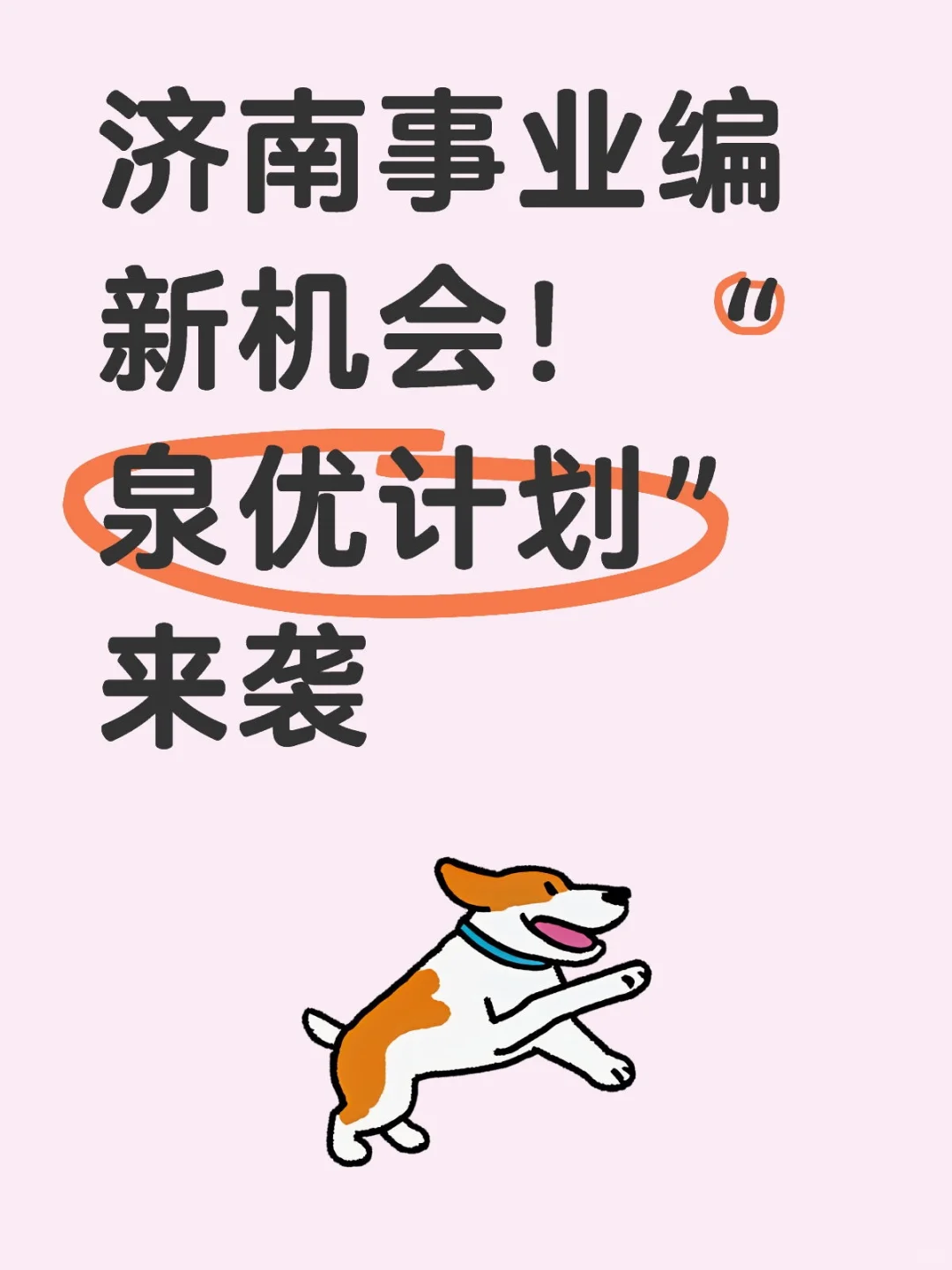 济南事业编新机会！“泉优计划” 来袭
