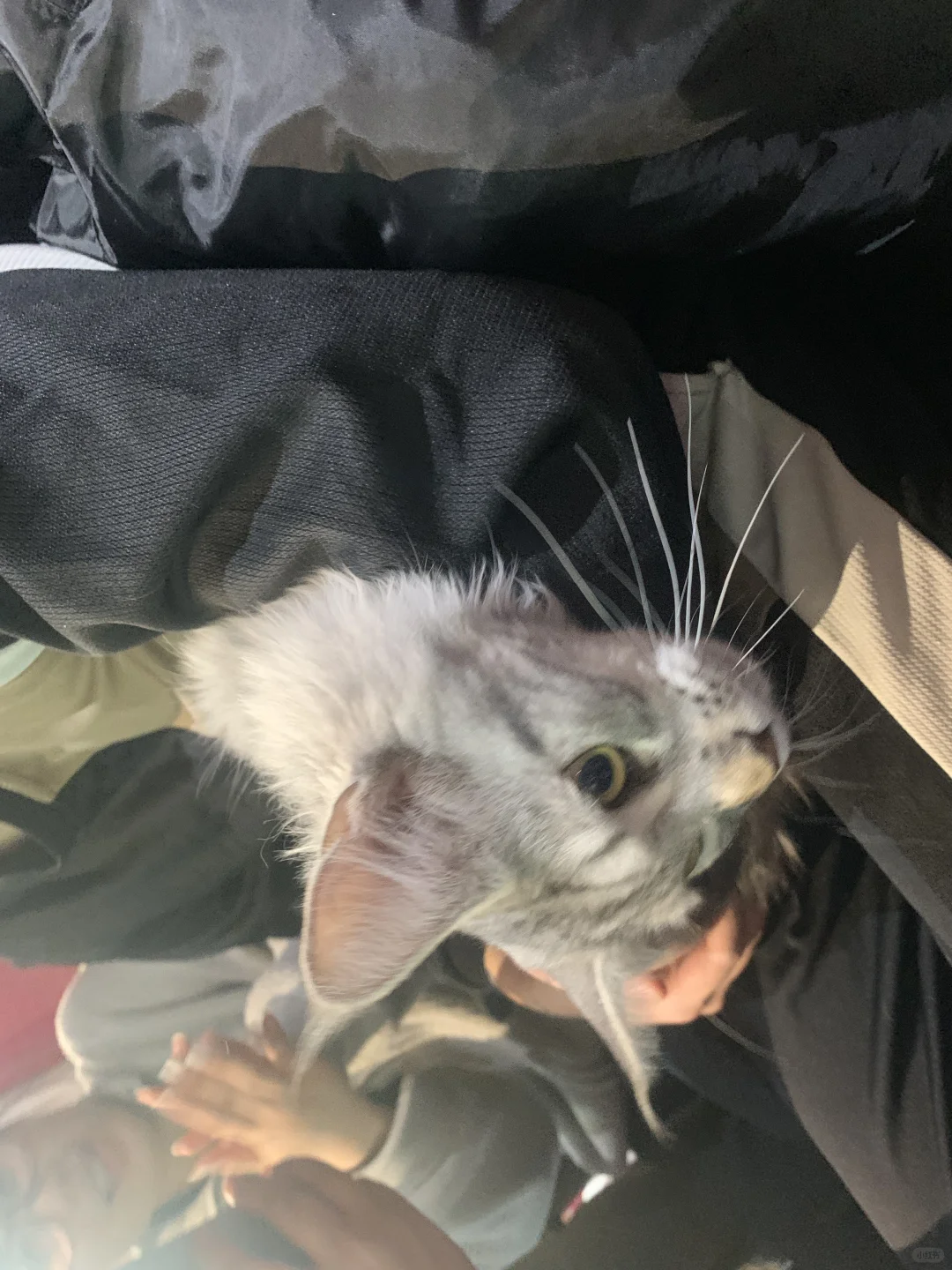 《重生之我在西安做招聘》