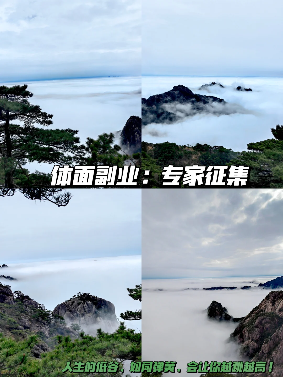 征123：兼职专家征集！省综合库！常态化