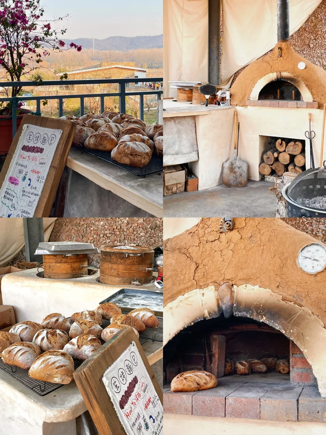 招聘帖【志同道合一起做面包】