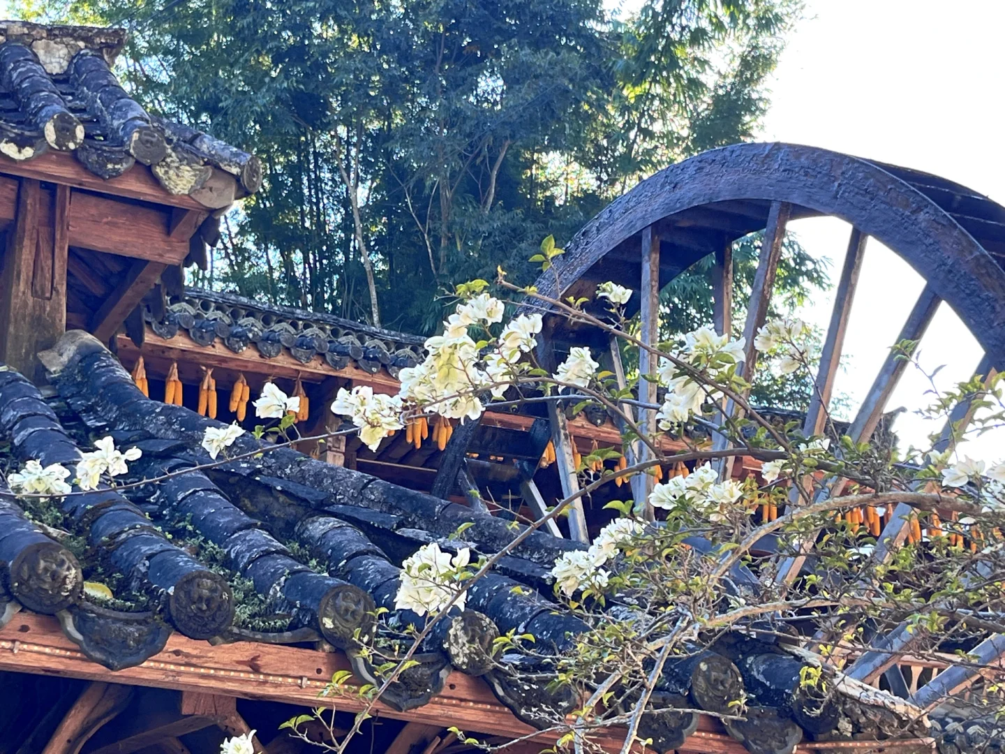 开远昭聘 🈶意请进