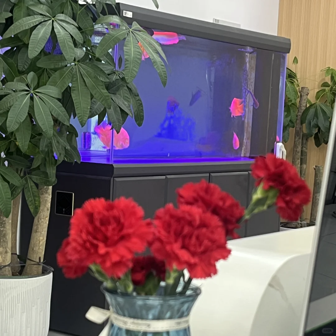 石家庄欢乐汇附近工作日常