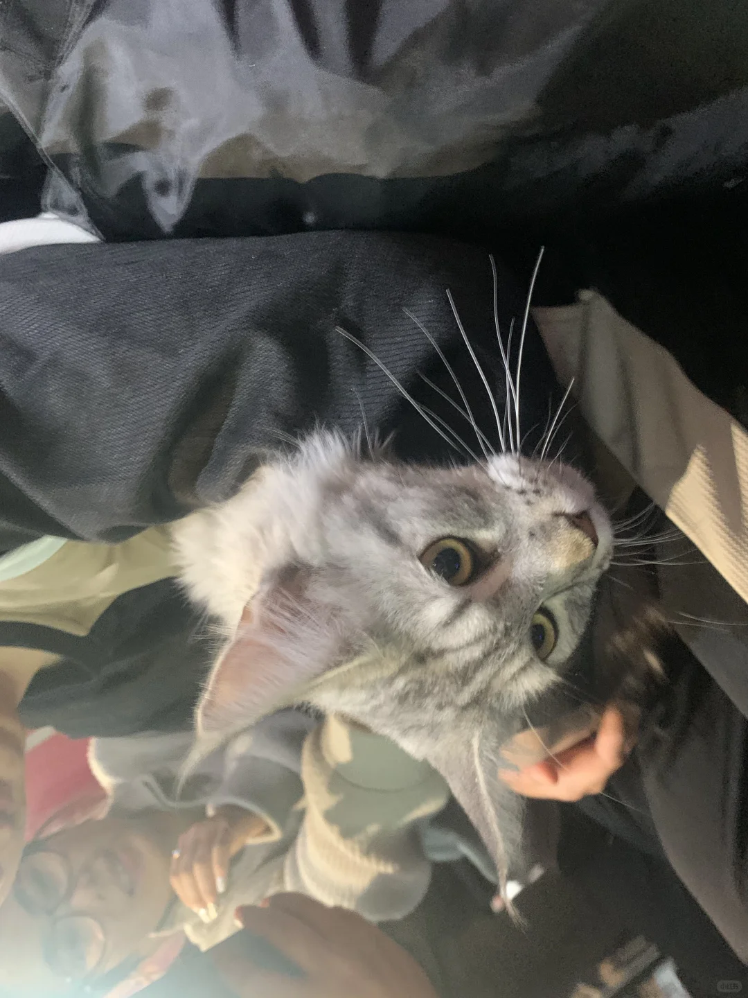 《重生之我在西安做招聘》