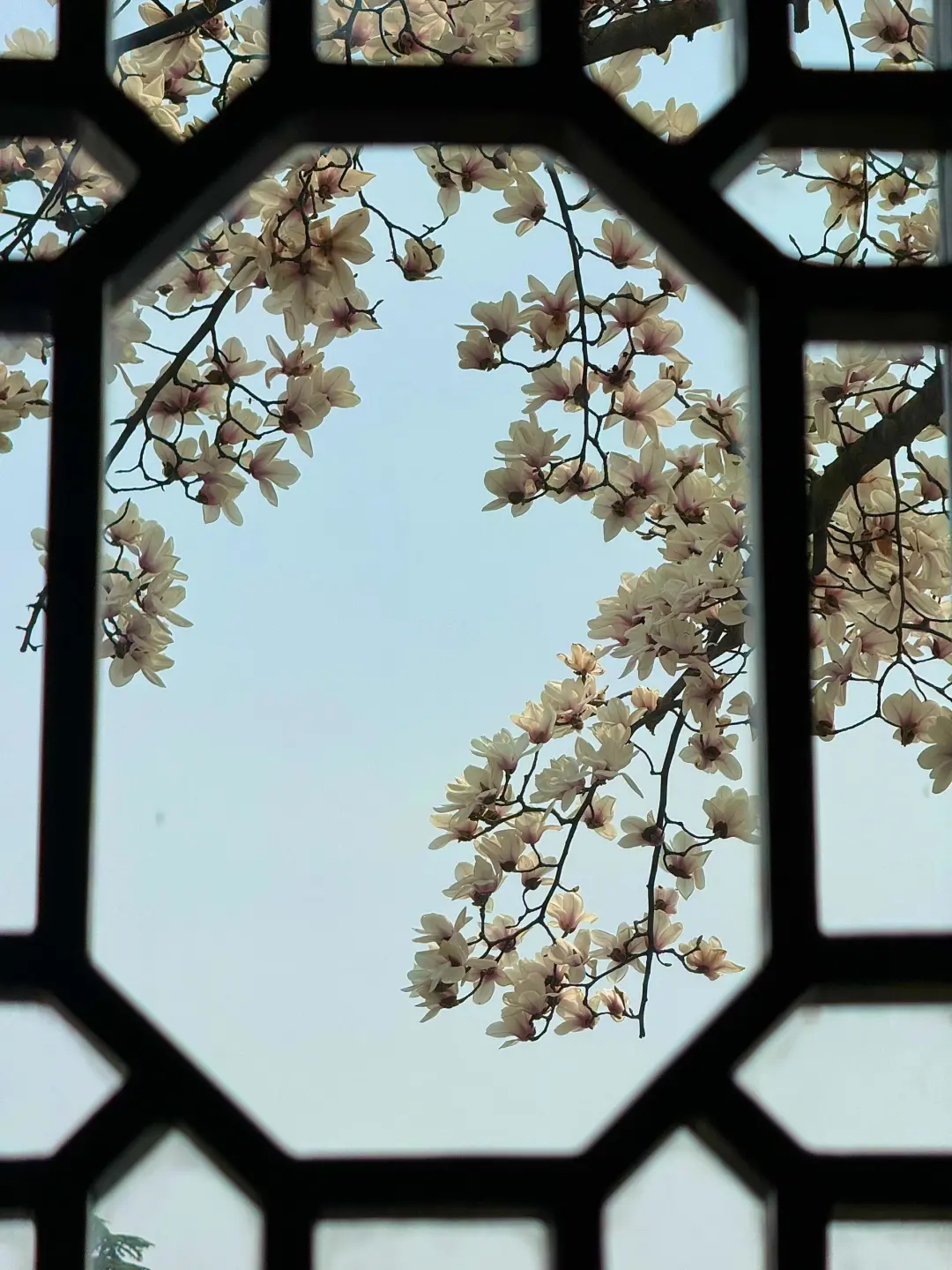 苏州招聘，招人（不是WD）